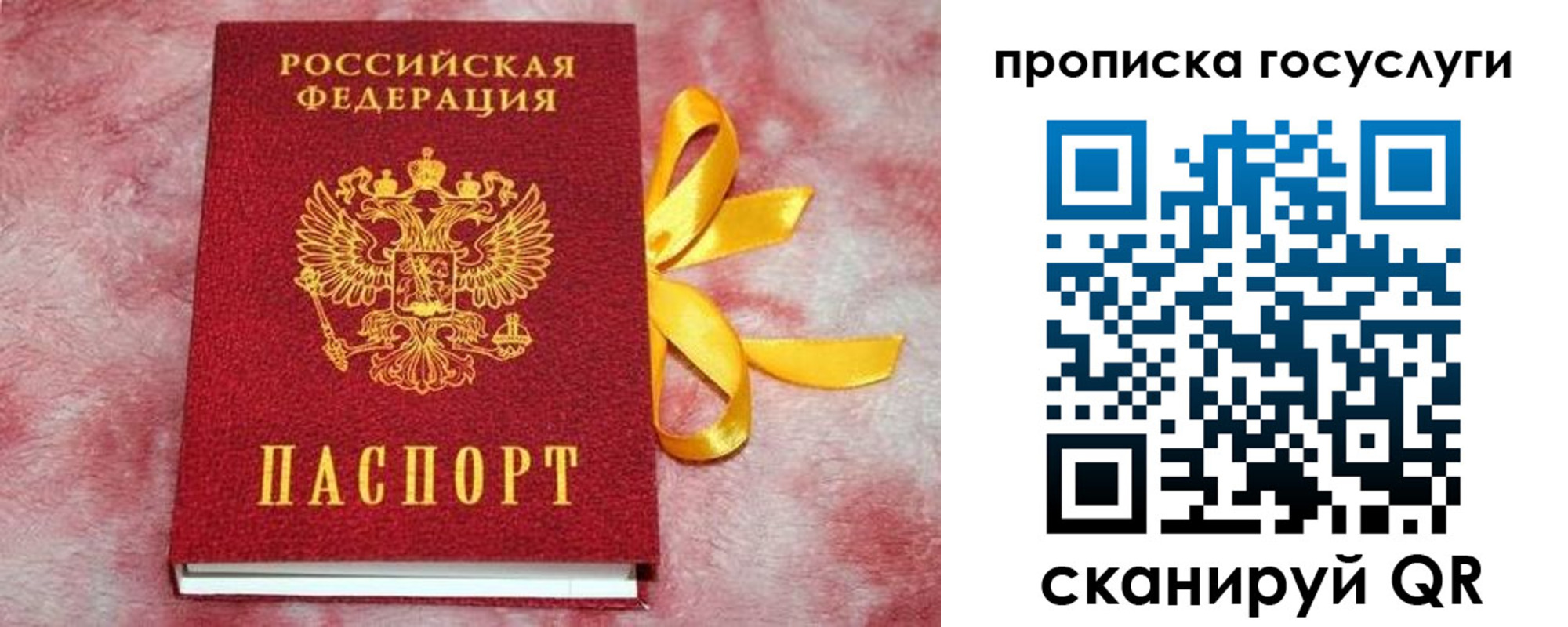 прописка законно в Кировграде